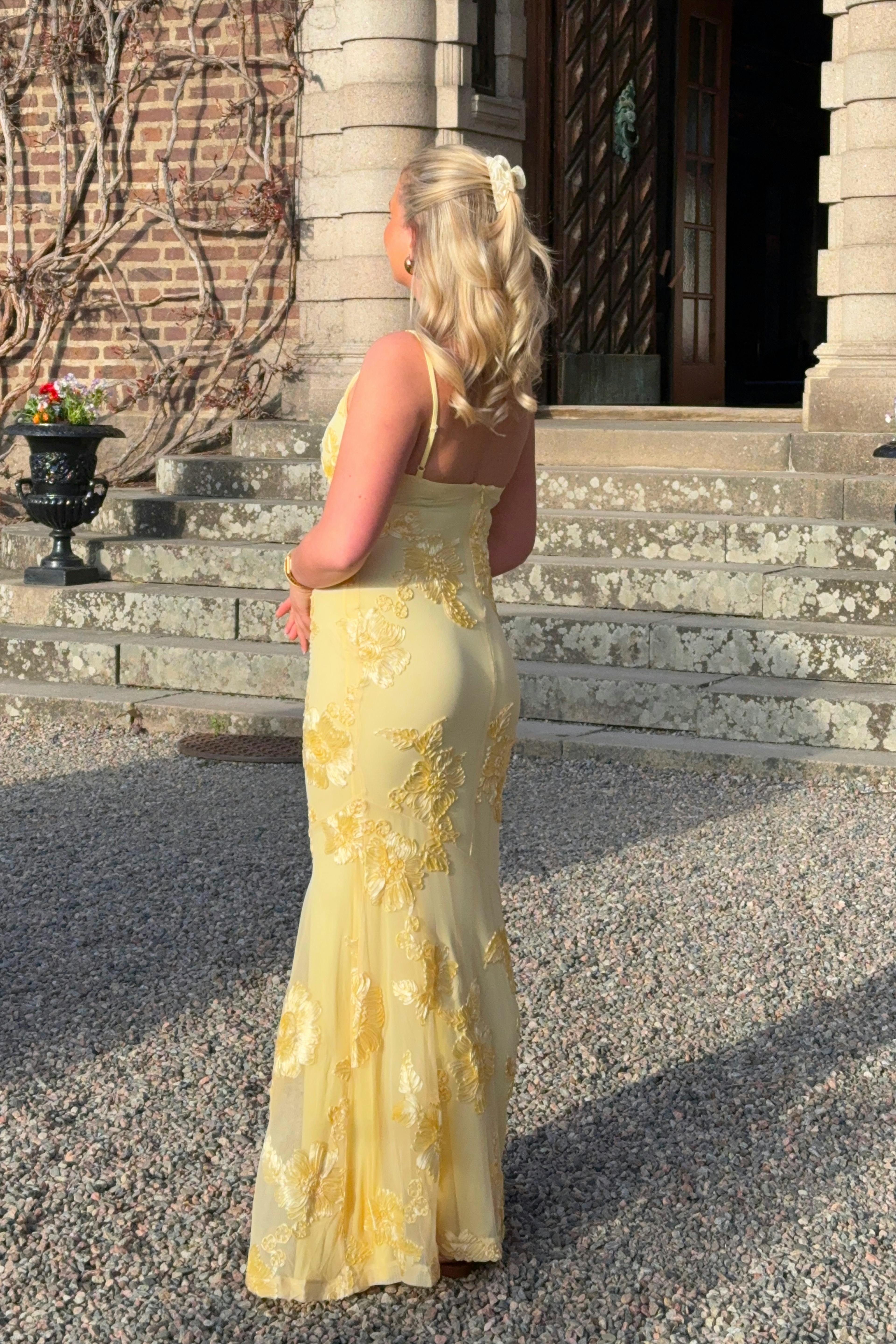 Embroidery dress
